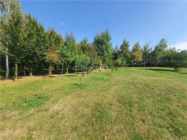 Teren intravilan Sacel -zona lacuri -ultimul lot de 900mp - 6