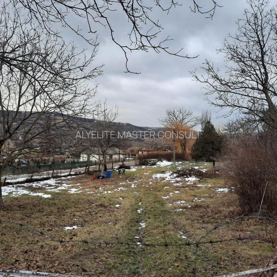 Oportunitate de investitie, teren intravilan Husi, 10435 mp - 4