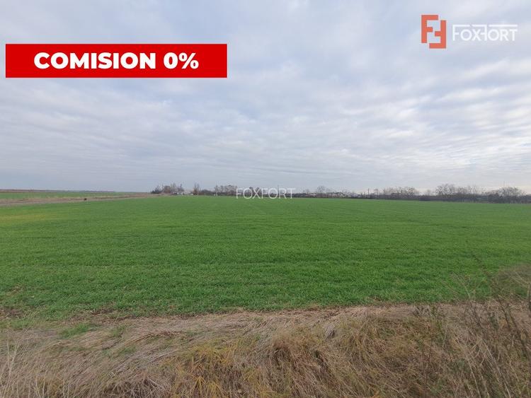 Comision 0% Teren extravilan agricol 21,32 ha sau intravilan cu PUZ aprobat - 2