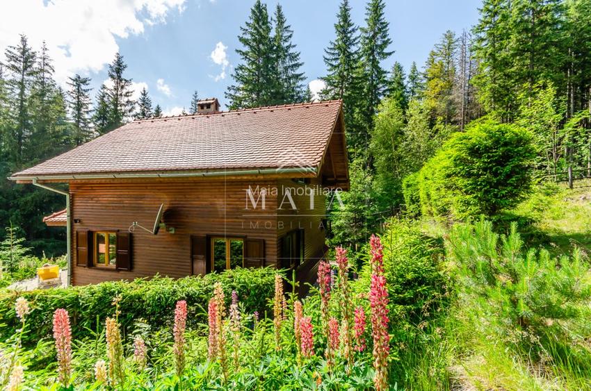 Casa 3 camere, 840 mp teren care include padure, Paltinis - 3