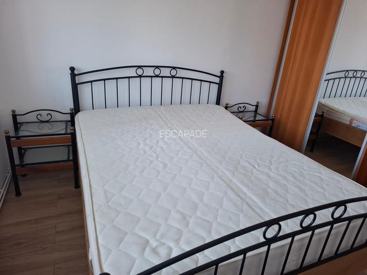 Chirie 2 camere, recent renovat, vedere parc, zona piata dacia - 11