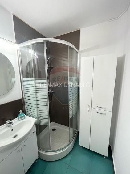 Apartament cu 1 camera de inchiriat in Micalaca - 8