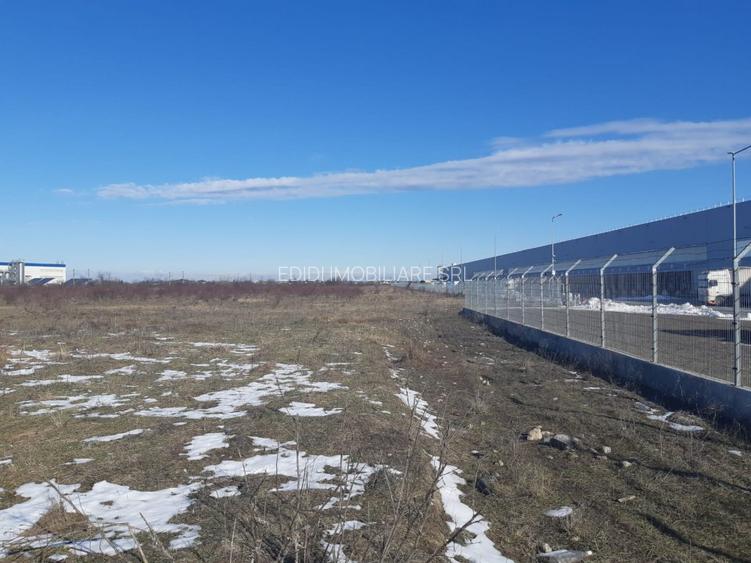 Teren Carrefour Militar 5000mp,intravilan, Chiajna langa Lidl logistic park - 6