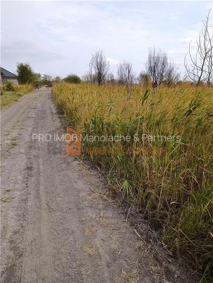 Teren extravilan in zona Spataru - 6