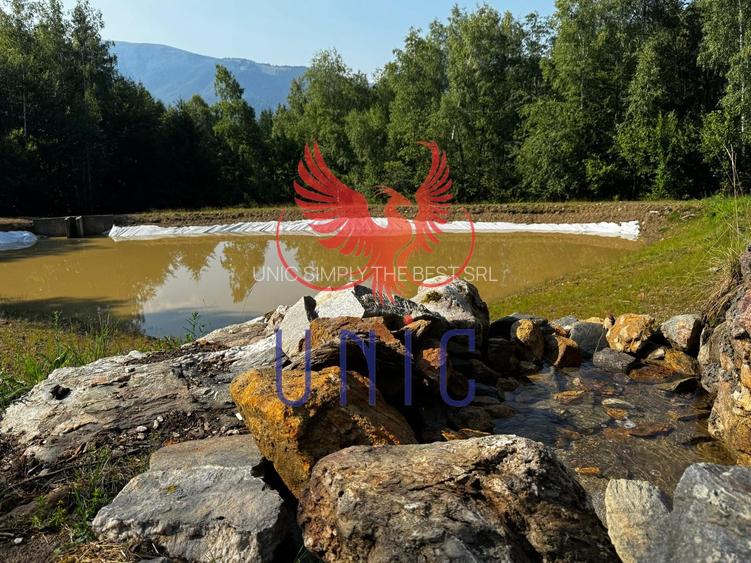 18000 mp de natura pura ,Lupeni, langa Straja - 14