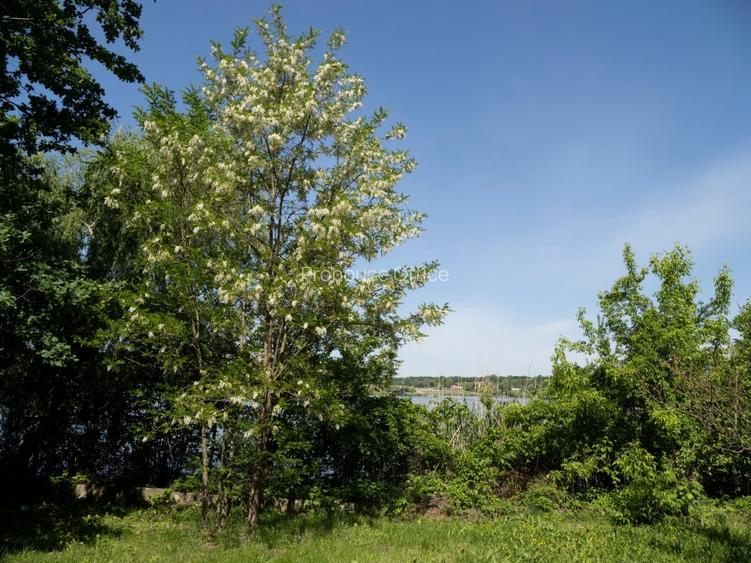 VANZARE DOMENIU CU DESCHIDERE  LA LACUL SNAGOV - 4