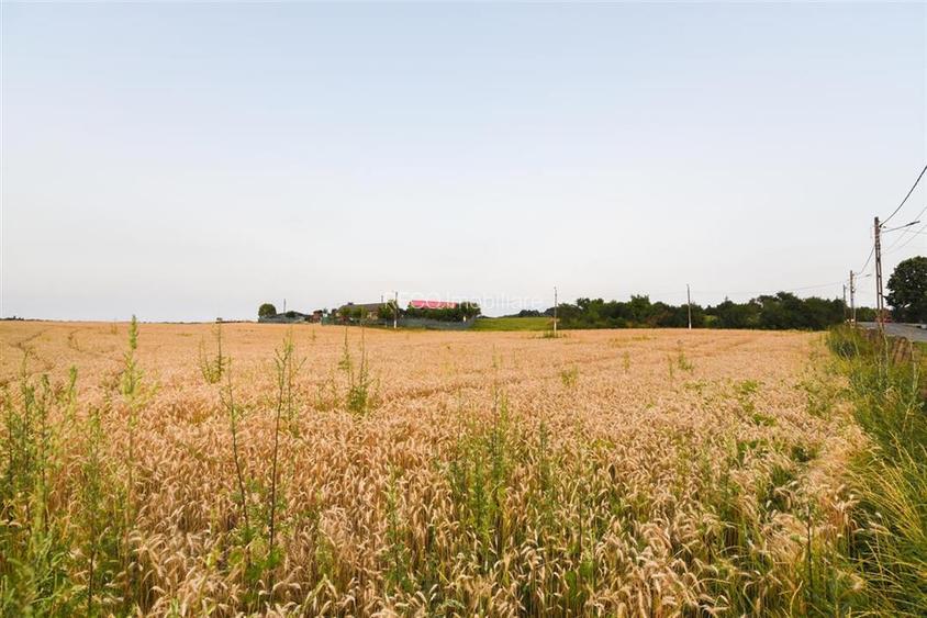 RECO Teren intravilan pentru casa  Lazareni - 8