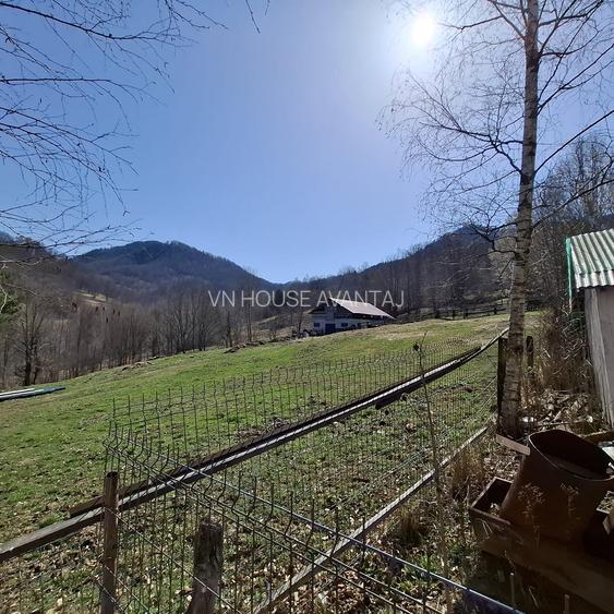 Casa de Vacanta Lepsa - 16