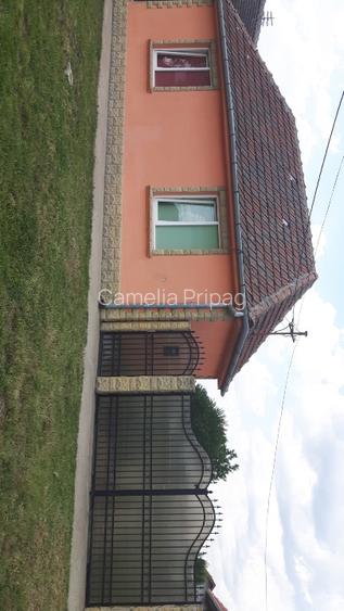 Vand teren cu casa in Utvin - 9