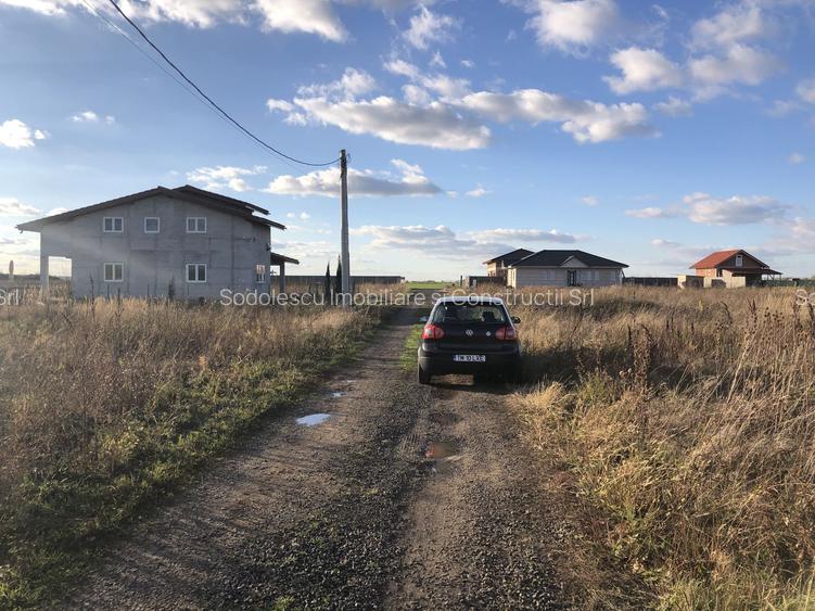 Teren Covaci-770-1540 mp la asfalt - 3