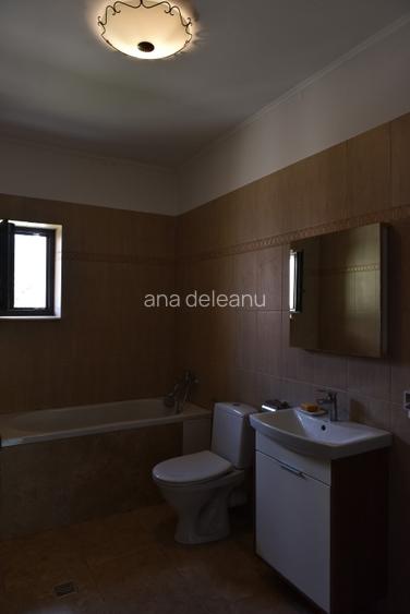 Vanzare vila noua & casa de la 1893 restaurata+ curte de 2.000 mp - 12