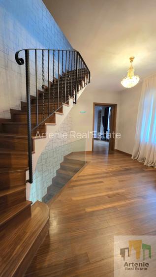 Pache Protopopescu - Matei Voievod vila singur curte - 5