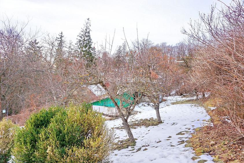 Teren Intravilan - Zona Drumul Poienii - 3