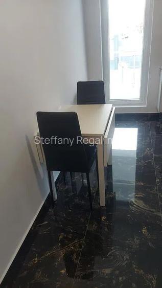 Garsoniera de vanzare Padurea Rosu - 6