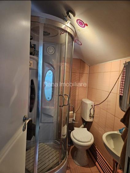 CASĂ DE VÂNZARE ÎN POUANA MĂRULUI,JUD. CARAȘ-SEVERIN - 16