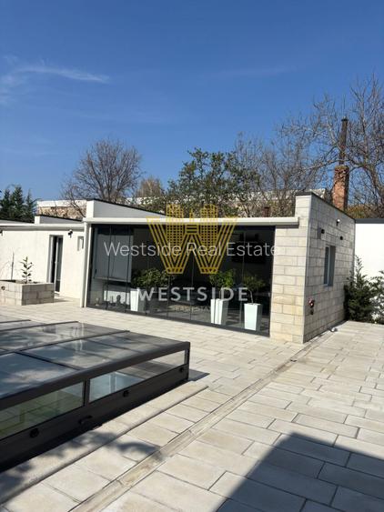 Vila impresionanta de vanzare, zona Lunei - 4