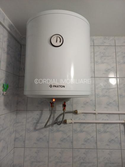 Colentina Teiul Doamnei - 3