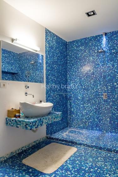 Casa de arhitect in Sector 1 - 12