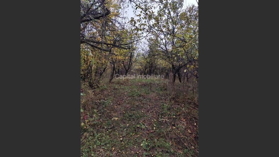 Vanzare sau Schimb! Central Drajna de Jos 5000 mp - 9