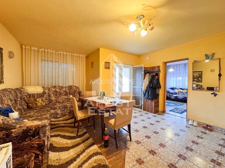 Casa individuala, 4 camere, 2600mp teren, Barcea Mare in Hunedoara - 8