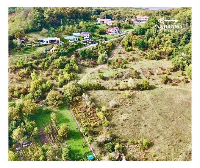 Teren intravilan cu vedere panoramică  4230mp – Mediaș - 6