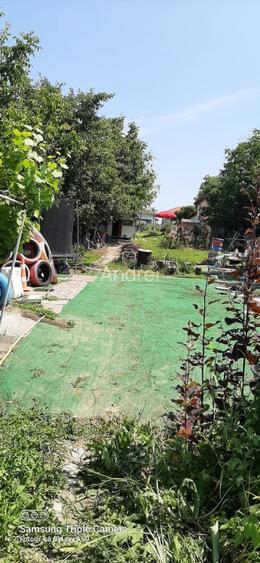 Teren 1000mp Dragomiresti-Vale - 11