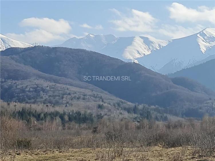 Teren intravilan 2500mp  pe Valea Avrigului,optim casa de vacanta - 11