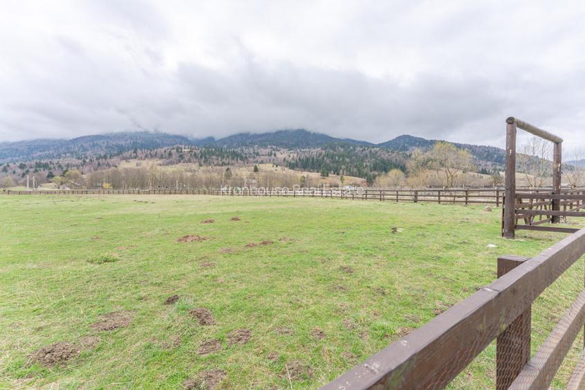 Teren intravilan, 6.900 mp, construibil – Plaiul Foii, Zărnești - 5