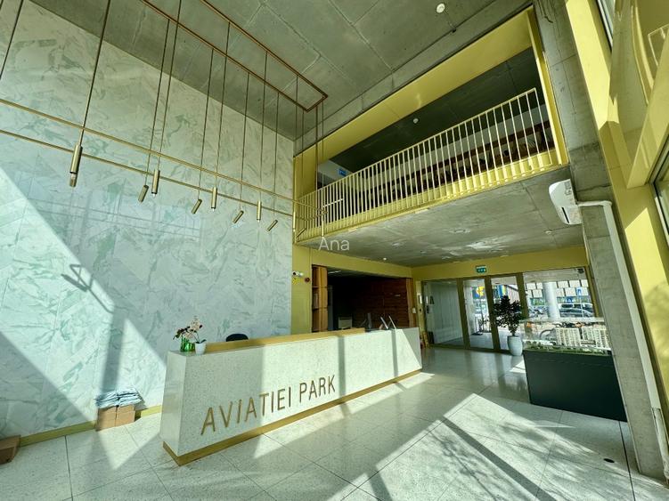 Aviatiei Park ready to move /rent  - 10