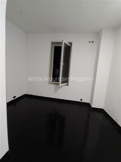 Spatiu comercial 300 mp, inchiriere/vanzare, Eminescu - 6