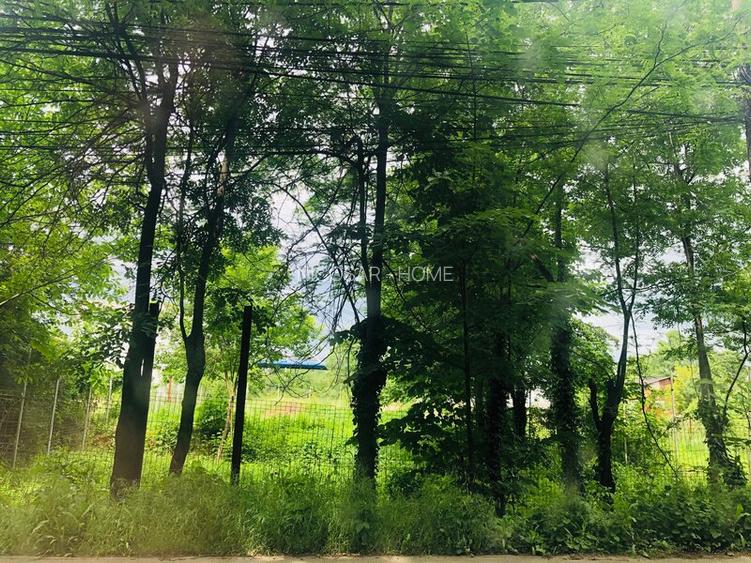 Baneasa Greenfield - 3