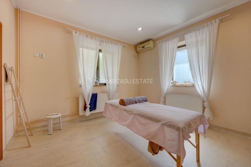 3 IMOBILE - LOT 676 MP - RECONSOLIDATE - ROMANA VICTORIEI - DOROBANTI - 26
