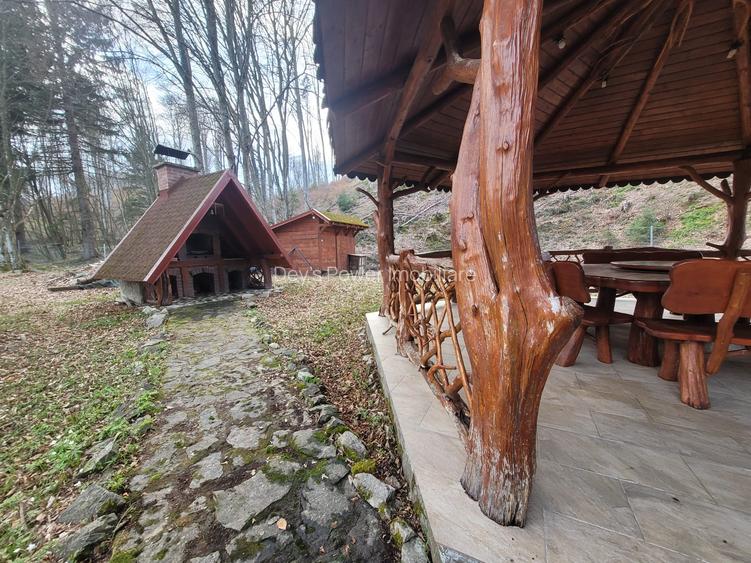 Cabana de vanzare ,Valea Avrigului/ 3000 mp/Langa padure - 21