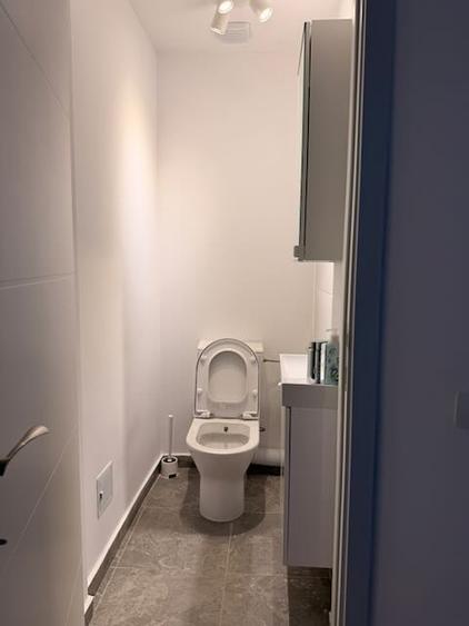 Loft 150 mp cu terasa proprie si intrare separata, Ion Mihalache / Clucerului