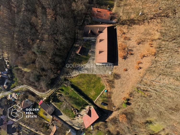 Proprietate pretabila pentru afacere, Cladova - 40