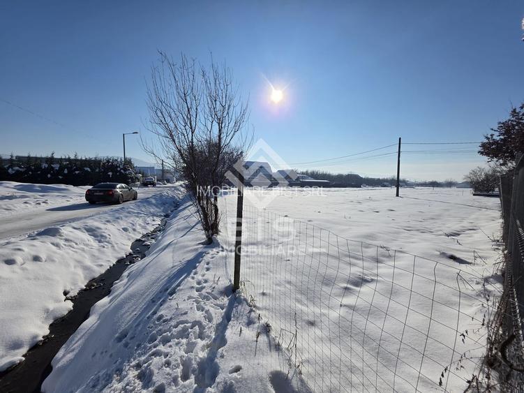 Teren cu suprafata 5300 mp intravilan - 4