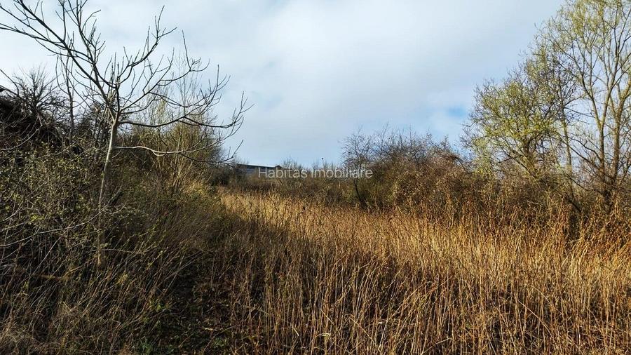 Teren intravilan de 2504 mp, font 21 m, panorama deosebita, Feleac - 6