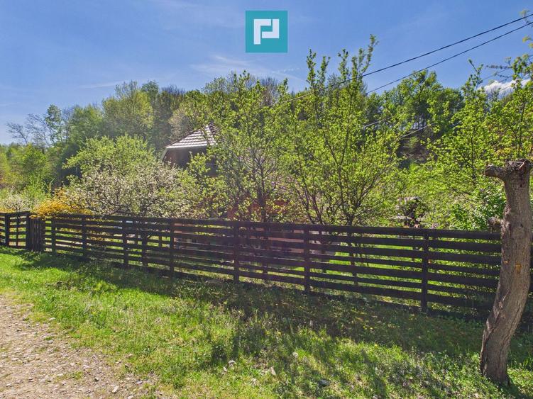 Casă Câmpani, 8000 mp teren, la poalele Apusenilor