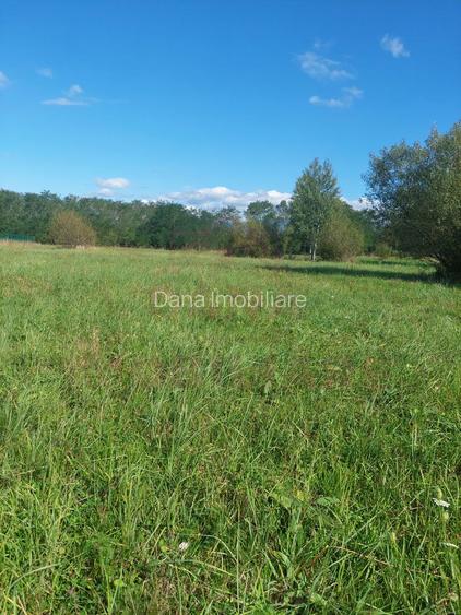 TEREN INTRAVILAN\699 mp, 45€ mp\ CARANSEBEȘ\ ZONA TEIUȘ - 6