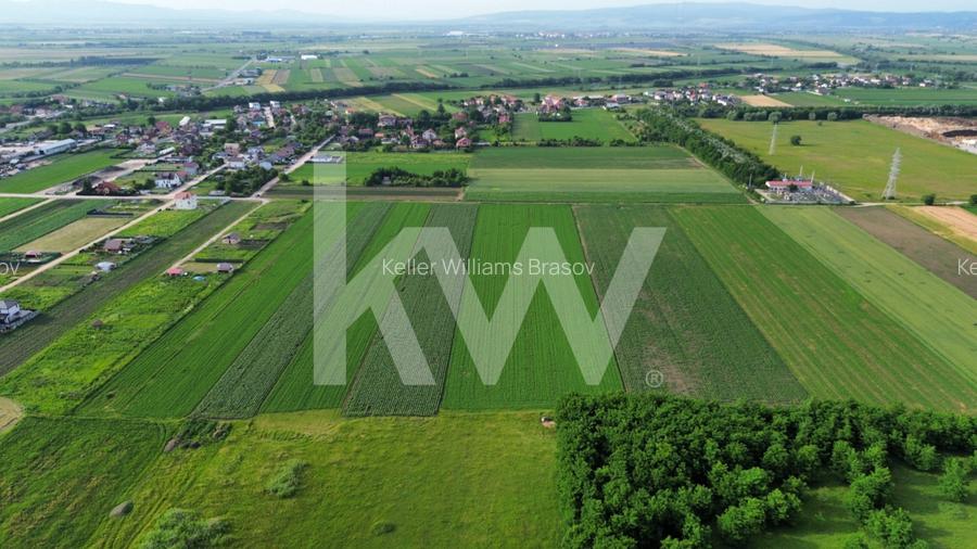 Teren intravilan 17.240 mp Stupini, str. Baciului-Luncii - 9