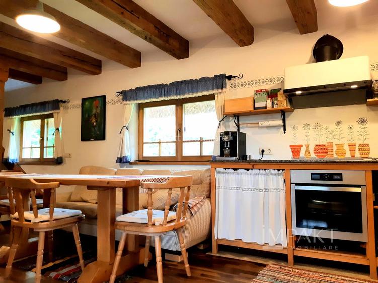 Casa traditionala de vis, aproape de Cluj-Napoca - 8