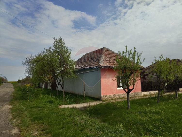 Casa de vanzare cu teren de 2175 mp,anexe si livada generoasa | Mailat - 27