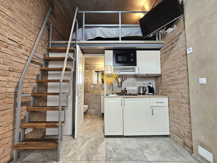 Studio tip loft, UltraCentral, Piața Muzeului, Piața Mihai Viteazul - 5