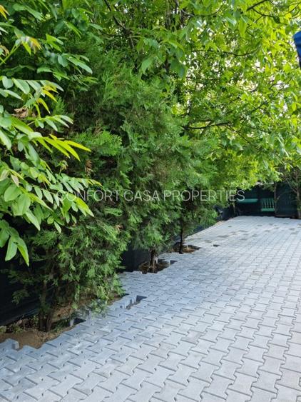 Mioveni - Cosesti - stradal, IDEAL  LOCUINTA/SPATIU COMERCIAL - teren 1250 mp - 5