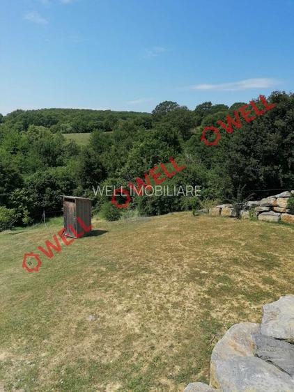 Teren intravilan de vânzare în Calnic! - 10