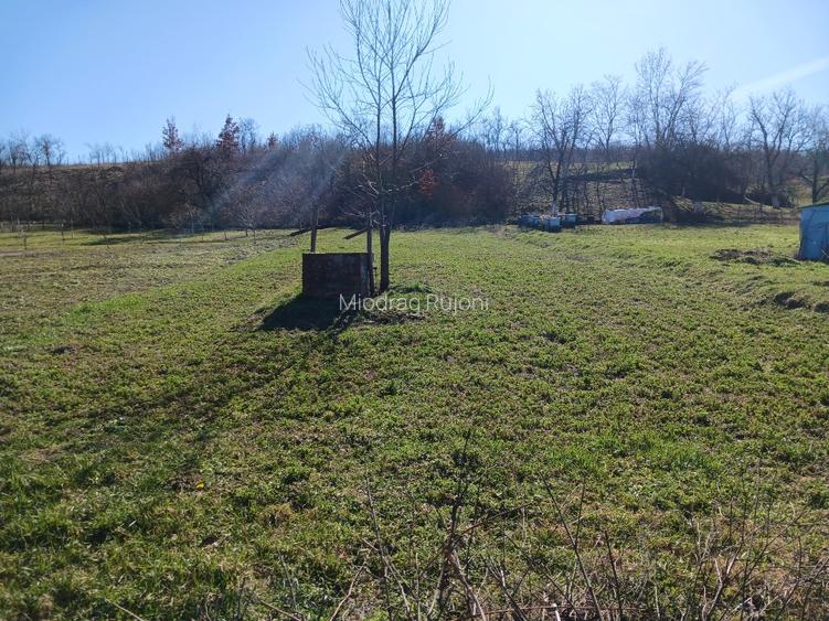 💰 29.500 € – Teren intravilan 1681 mp în Stanciova  , la 33 min de Timișoara. - 2