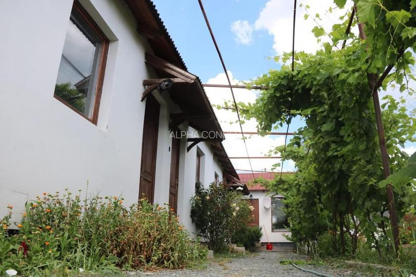 Corbu - Casa de vacanta - 8