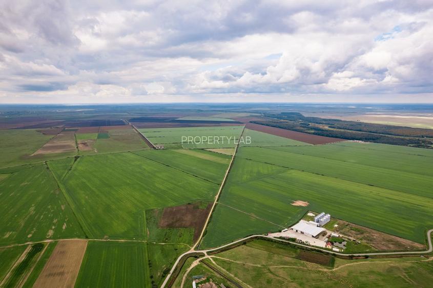 Teren 13500000 mp în Socodor - 8