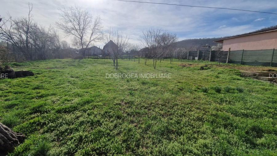 ORAS BABADAG- CASA P+M , TEREN 1000 MP - 15