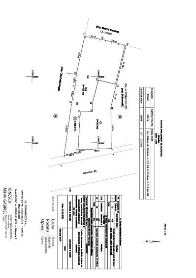 Casa mare si curte in centrul Craiovei - 6